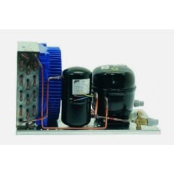 Unita' Condensatrice 1/4 HP10,00CC Frigo AV6187Z New Di.Gi.T. Service SRLS