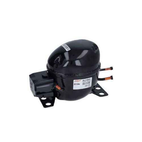 Compressore GLY45AA 1/7 4.5CC Frigo Electrolux 3070603 New Di.Gi.T. Service SRLS
