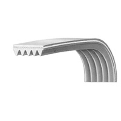 Cinghia Rigata Lavatrice Arcelik - Beko 2816750200 Di.Gi.T. Service 