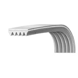 Cinghia Rigata Lavatrice Arcelik - Beko 2816750200 Di.Gi.T. Service 