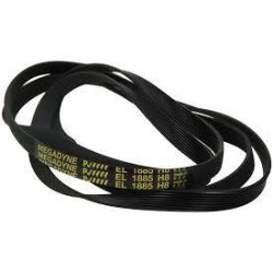 Cinghia Lavatrice 1885H8 TEM POLY-V Ariston C00036195 Di.Gi.T. Service 