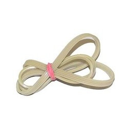 Cinghia lavatrice rigata 1161 j5 temp poly v sangiorgio 55x2987  Di.Gi.T. Service