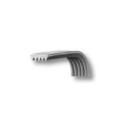 Cinghia lavatrice rigata 1161 j5 temp poly v sangiorgio 55x2987  Di.Gi.T. Service