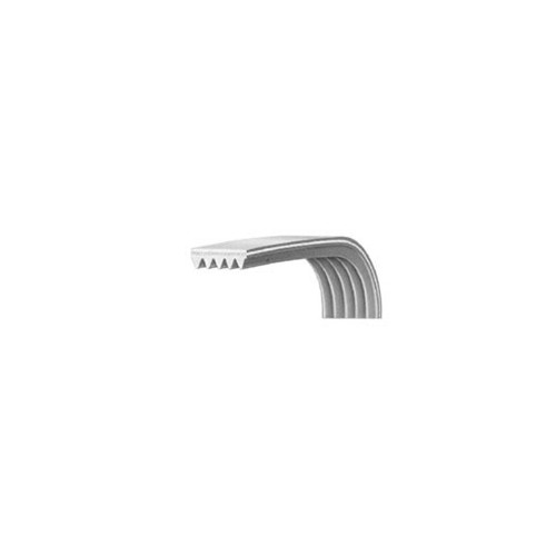 Cinghia Lavatrice Rigata 1231 H8 POLY-V Candy 41003164 Di.Gi.T. Service 