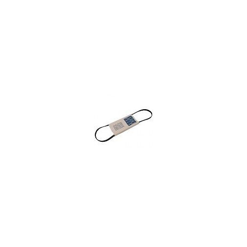Cinghia Lavatrice Rigata 1231 H8 POLY-V Candy 41003164 Di.Gi.T. Service 