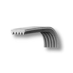Cinghia lavatrice 1287phe dentata electrolux 1326721006 Di.Gi.T. Service