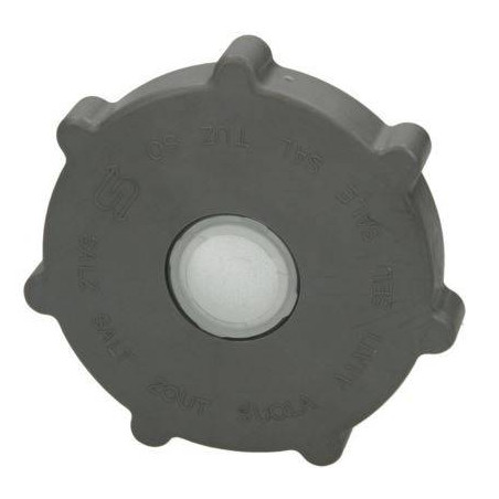 Tappo Sale Lavastoviglie Bosch 00165259   Di.Gi.T. Service 