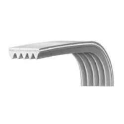 Cinghia Rigata EL1182 J5 Lavatrice LG 4400FR3116D Di.Gi.T. Service