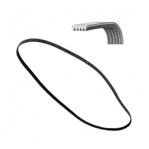 Cinghia Dentata 1196 J5 Poly V Lavatrice Zanussi 1323531200   Di.Gi.T. Service