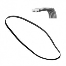 Cinghia Dentata 1196 J5 Poly V Lavatrice Zanussi 1323531200   Di.Gi.T. Service