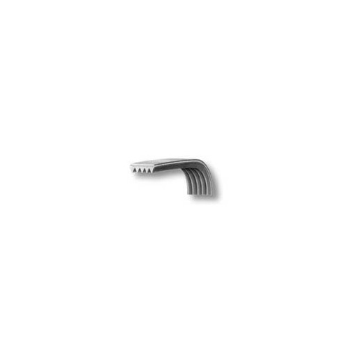 Cinghia Lavatrice Rigata 1161J5 Temp Poly-V Sangiorgio 55X2987 Di.Gi.T. Service
