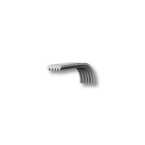 Cinghia lavatrice dentata el1306 j5 481281728293  Di.Gi.T. Service