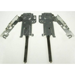 Kit 2 Cerniere Porta DX SX Lavastoviglie Electrolux 4055053450 Di.Gi.T. Service 