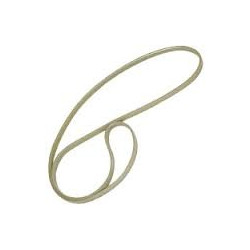 Cinghia Dentata 1197 J5 Poly V Lavatrice Whirlpool 481281718147   Di.Gi.T. Service 