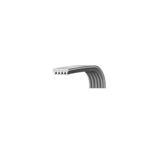 Cinghia Lavatrice EL1183 J5 Rigata SILTAL 36984800 di.Gi.T. Service