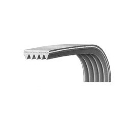 Cinghia Lavatrice EL1183 J5 Rigata SILTAL 36984800 di.Gi.T. Service