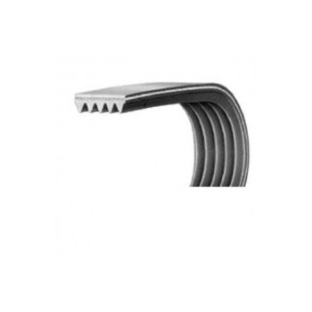 Cinghia lavatriceel1280 j6 dentata poly v Di.Gi.T. Service 
