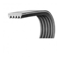 Cinghia lavatriceel1280 j6 dentata poly v Di.Gi.T. Service 