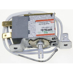 Termostato WPF25J-Ex Frigo Candy 49036134 Di.Gi.T. Service