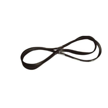 Cinghia Rigata 1975 H5 Asciugatrice Electrolux 1258288222 New Di.Gi.T. Service SRLS
