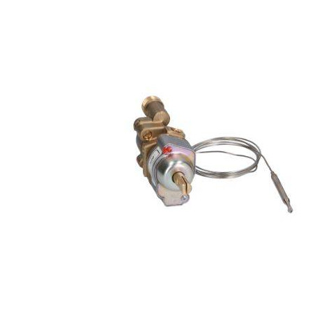 Termostato 1 via Termostatico Baron 6A023700 Di.Gi.T. Service