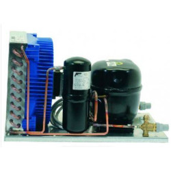 Compressore Frigo Aspera NEK6144GK Di.Gi.T. Service