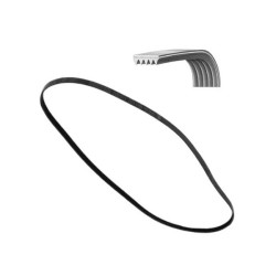 Cinghia Lavatrice 1260 H7 Electrolux 8996452501803 Di.Gi.T. Service