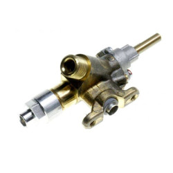 Rubinetto Bruciatore Grande CO PC Electrolux 3577266020 Di.Gi.T. Service