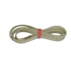 Cinghia lavatrice 1287phe dentata electrolux 1326721006 Di.Gi.T. Service