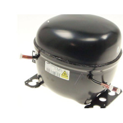 Compressore Frigo BLDC 15.32C Samsung ENV4A5GL2J/ASH Di.Gi.T. Service