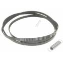Cinghi + Molla Tendi Motore Asciugatrice Gorenje 441973 New Di.Gi.T. Service SRLS